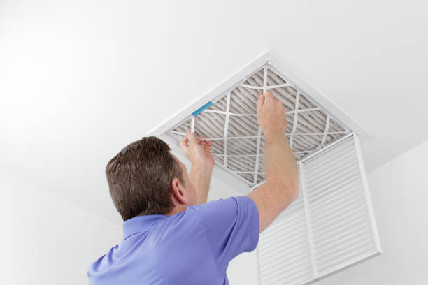 Best Dryer Vent Cleaning Services  in Sunrise Manor, NV